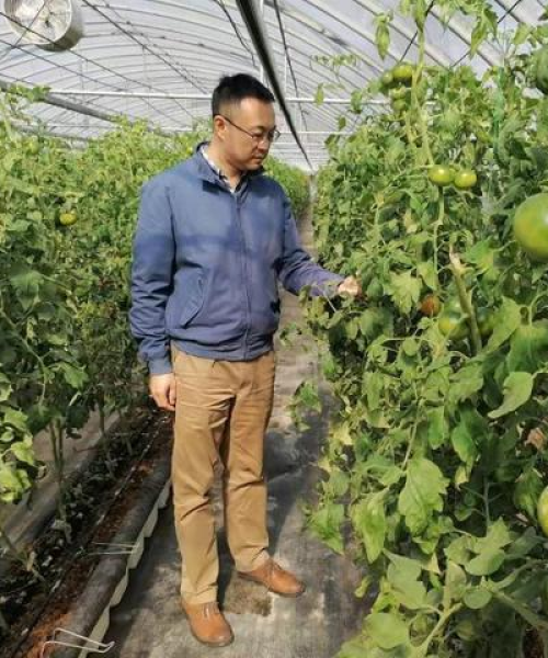 如何增强农业科技的市场竞争力