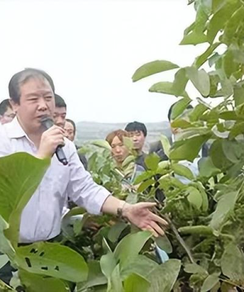 农业合作的经济效益评估——以中农科测（成都）科技有限公司为例