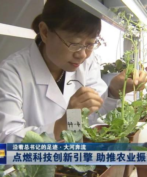 中农科测科研项目与市场表现对比